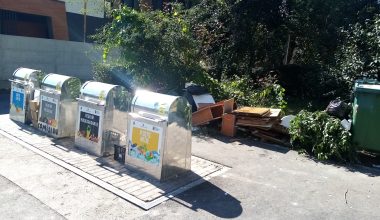 pubele prea aproape de bloc